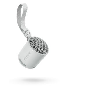 Zvučnik Sony SRSXB100D.CE7