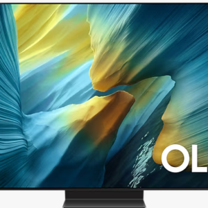 TV Samsung QE 55S95FATXXH